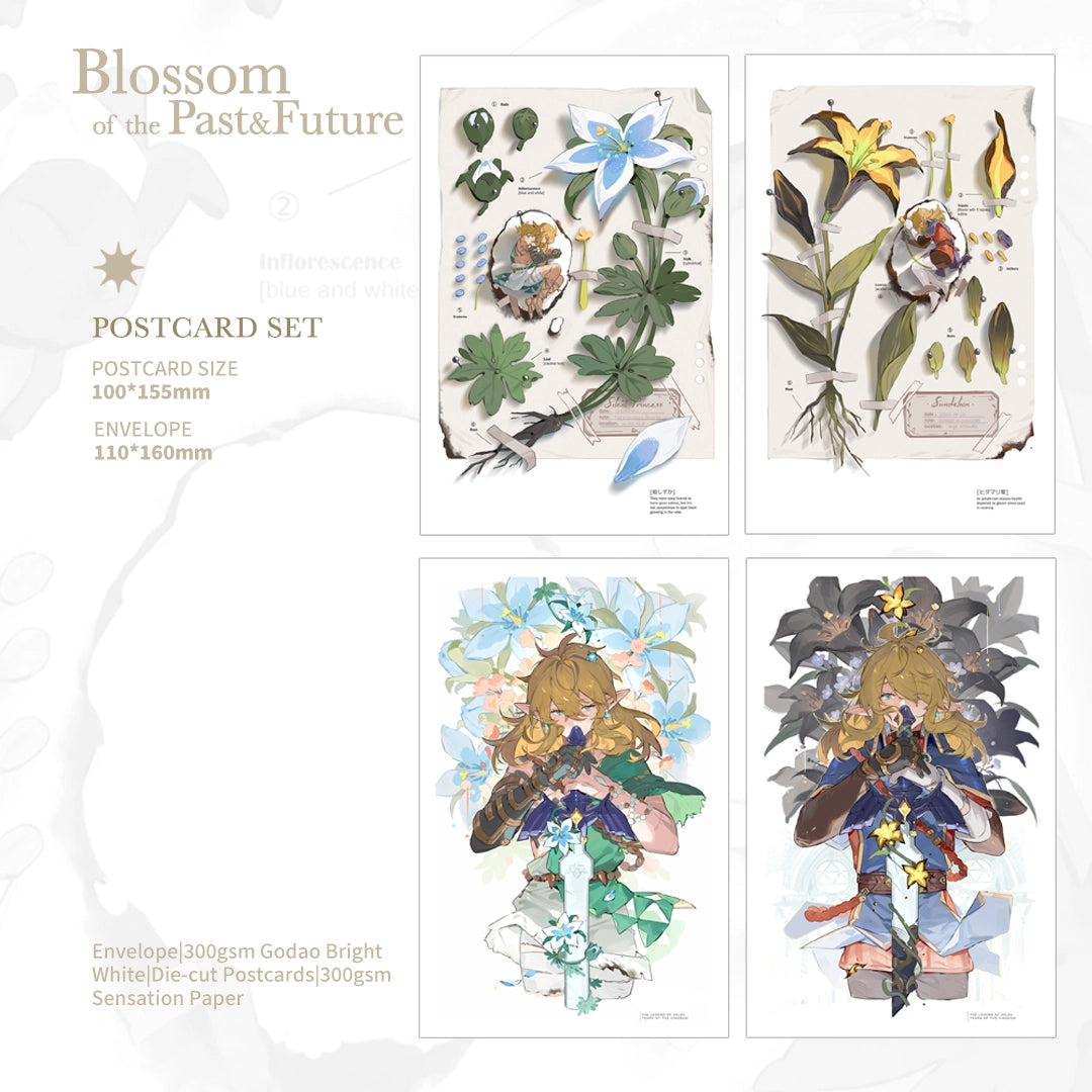 The Legend of Zelda: Tears of the Kingdom Doujin Link Postcard Set | Art by Leopardtiger